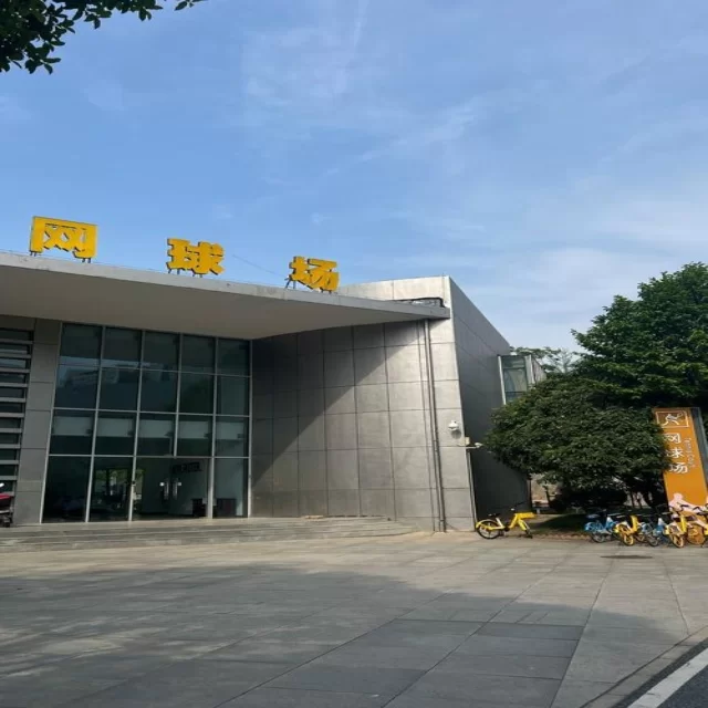 从数据视角解读乒乓球冠军竞争格局的深层动态